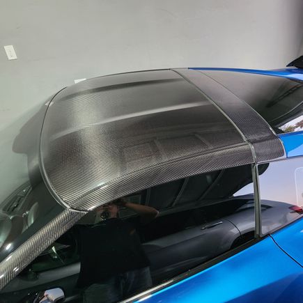 Installed my CF pillars top and halo cover.