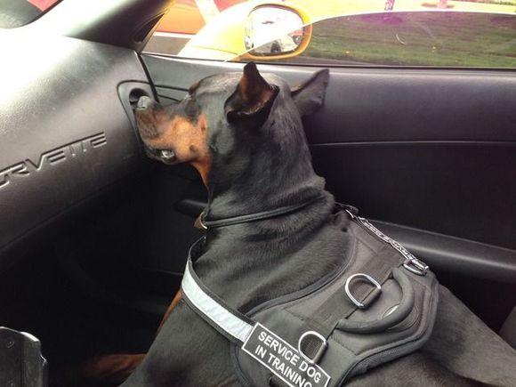 Are we there yet?