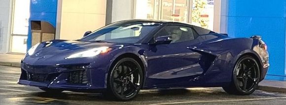 The blue background and lighting really makes the purple pop.  In my encounter, at early evening, the color looks like very dark but not black, very classy.