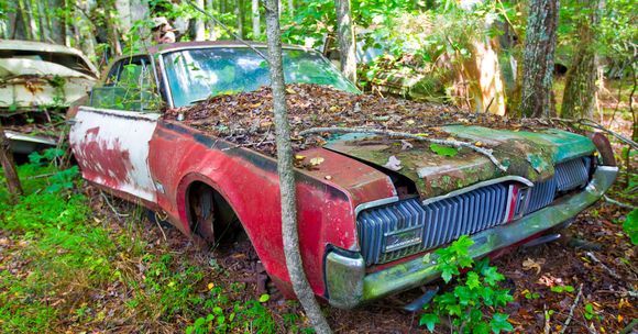 Old Car City, White, GA, June 28, 2014