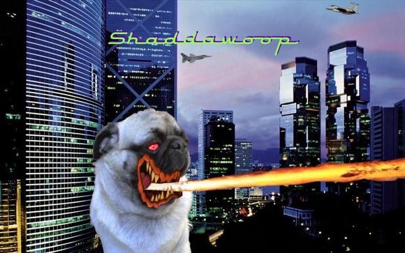 Shaddawoop