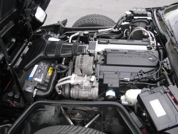 Detailed engine compartment