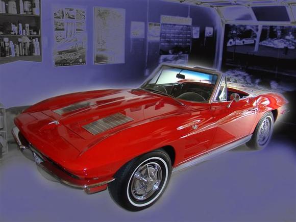 Corvette   August 2008 18 Neon (Medium)