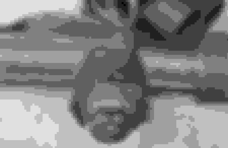 DIY C5 Power Steering Rack and Pinion Rebuild CorvetteForum