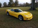 2012 Black and yellow