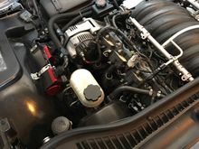 RHS 427 with A.R.E Dry Sump on ethanol. Good for almost 700 hp and 700 torque!