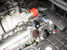 Zo6's C5R &amp; D1S Procharger.  This engine (actually 428 cubic inches) was built by the well know NASCAR engine builder Charlie Hempfield ('96 Daytona winner, various polesitters for many years).  Mostly Crowler rotating parts, roller rockers, etc., etc.  D1SC is small as you see but was a challenge to fit (that is a double row radiator in front of it.  Intercoolers are under headlamps.