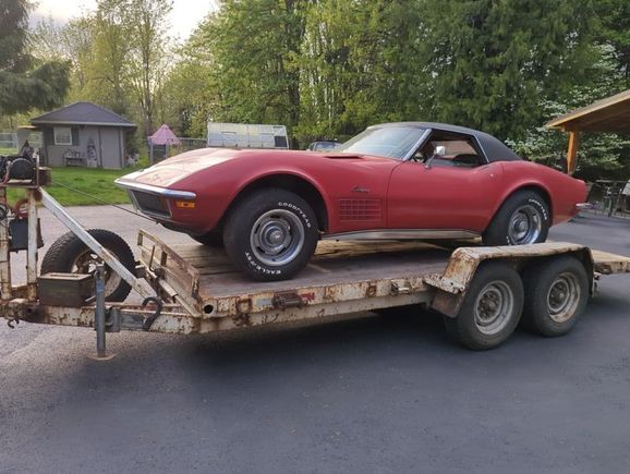 Here she is on the way home!