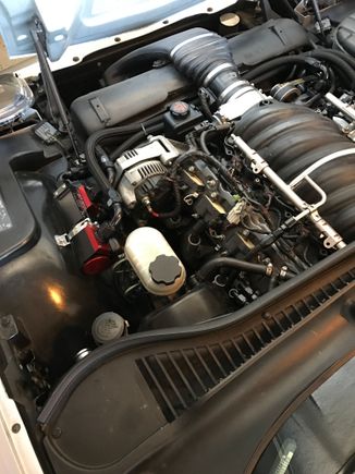 RHS 427 with A.R.E Dry Sump on ethanol. Good for almost 700 hp and 700 torque!