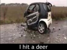 i hit a deer