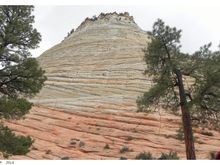 zion03