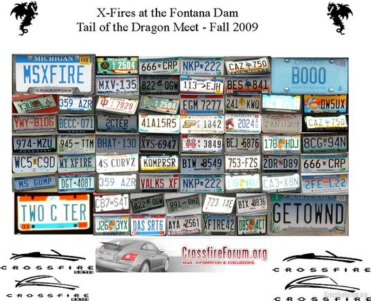 license plates1