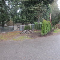 April 11, 2012: build retaining wall & add arborvitaes, remove more ivy
