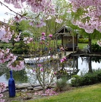 Thea's Spring Garden - Waihi, NZ