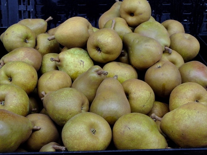 Taylor's Gold Pear
