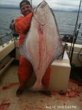 103 lb halibut.. Best one I've got since moving to Juneau in 2009.