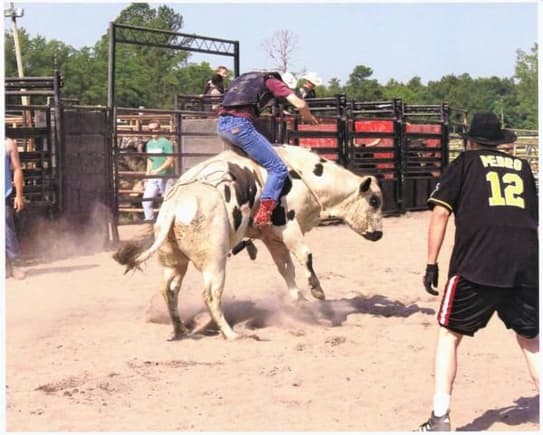 wyatt bull riding 3
