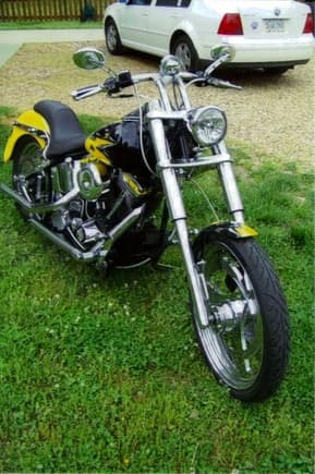 97 Harley Soft Tail Custom