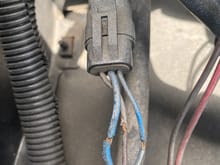 Blues wire is hot when turned on