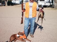 Pheasant hunt 2