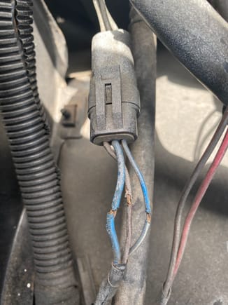 Blues wire is hot when turned on