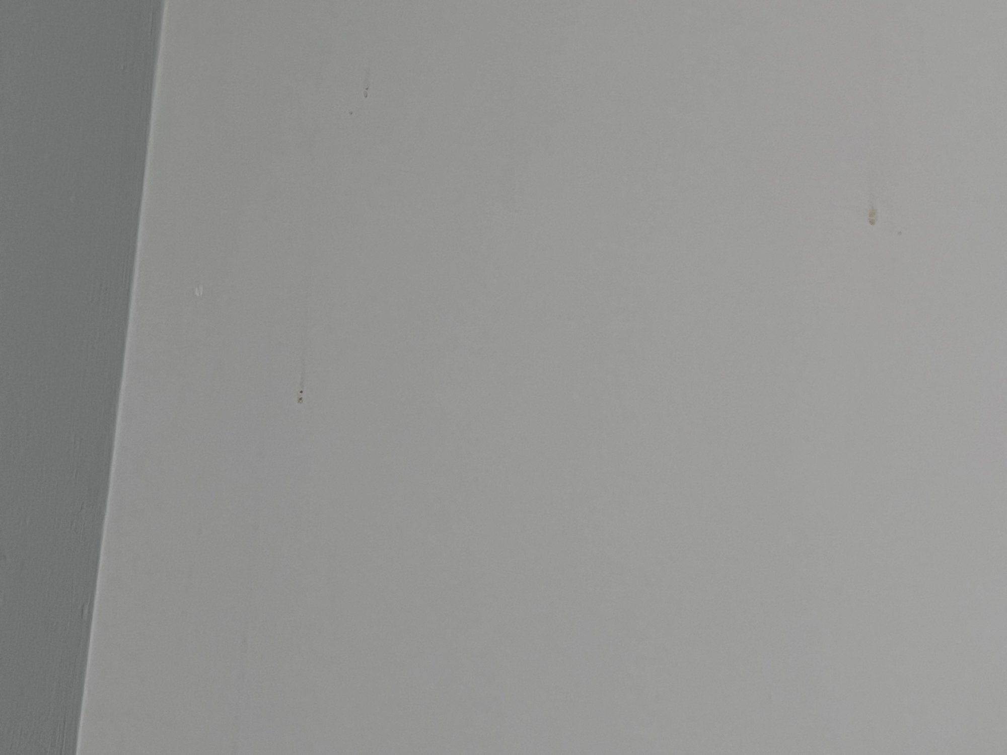 How to remove drip marks from bathroom walls