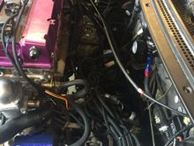 "cable management" aka zipties :D