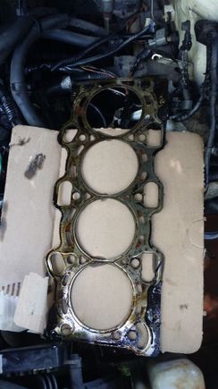 This by the way is the old gasket. I could not find any specific faults, but the whole gasket looks fried and could indeed be the "it" problem guys.