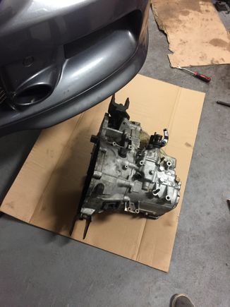 its out!(its on a small block of soft wood)