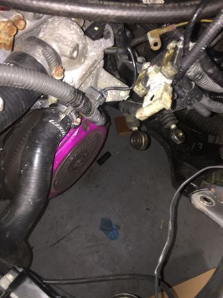best pic I have of the clutch