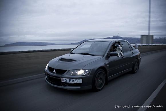 Evo [2 FAST] &amp; Panda