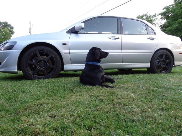 Cuz Guard Dog