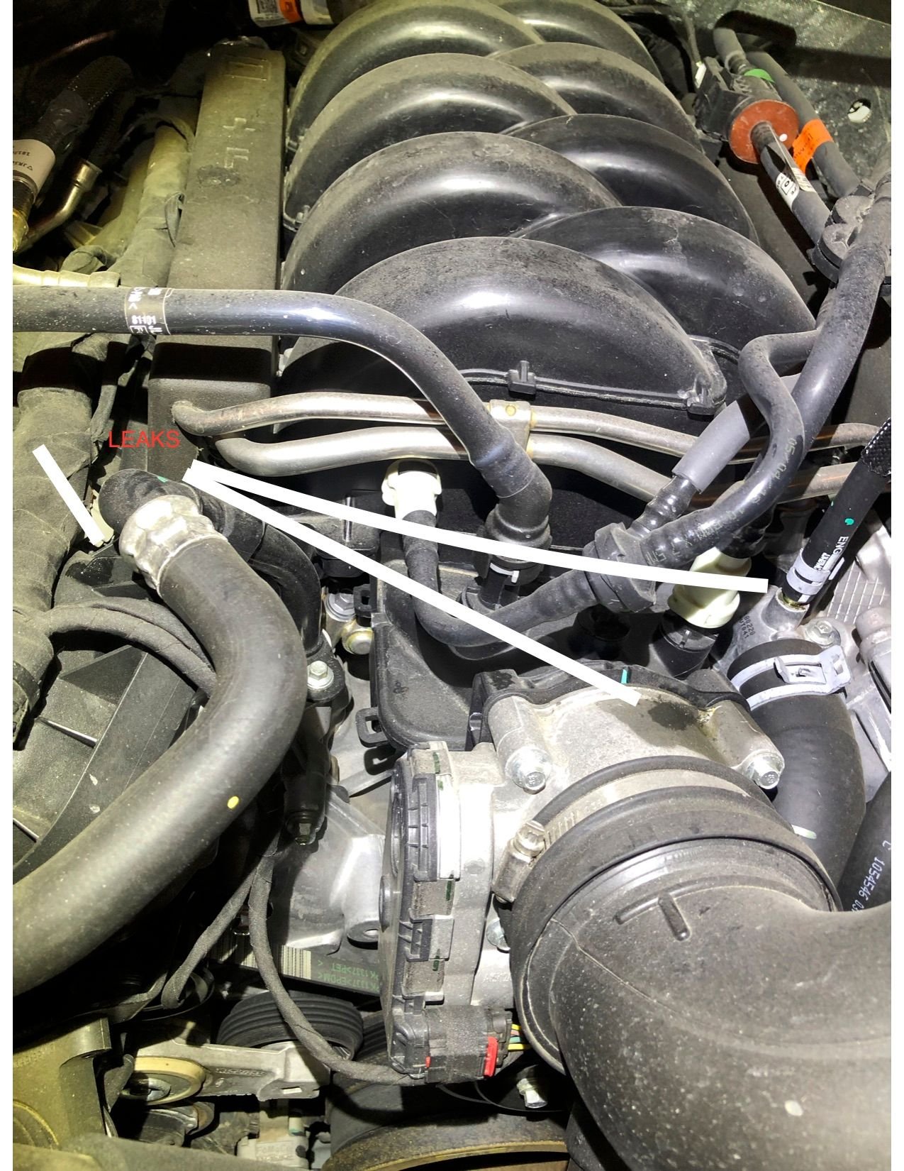 2018 5.0l TOP OF ENGINE LEAKSPICS Ford F150 Forum Community of