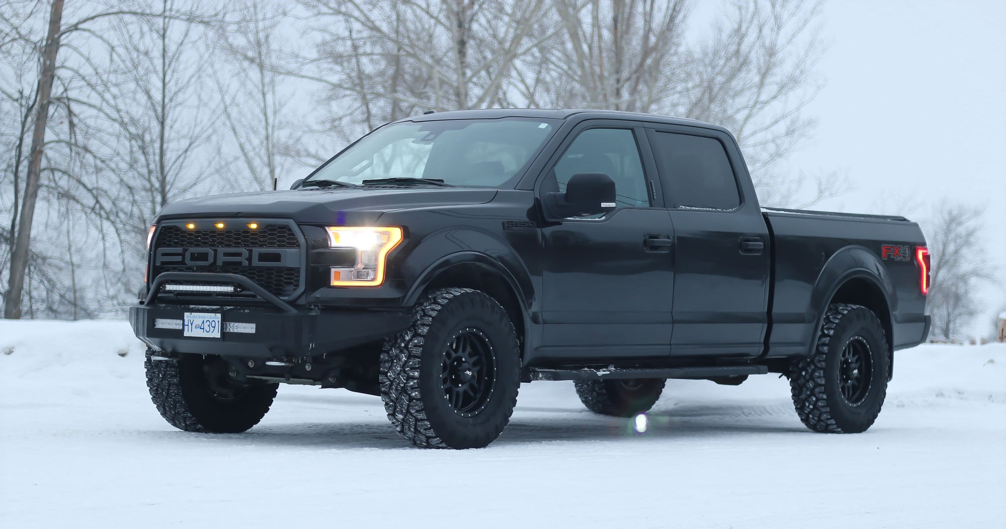 2015 F150 Strictly Pics Thread - Page 311 - Ford F150 Forum - Community ...