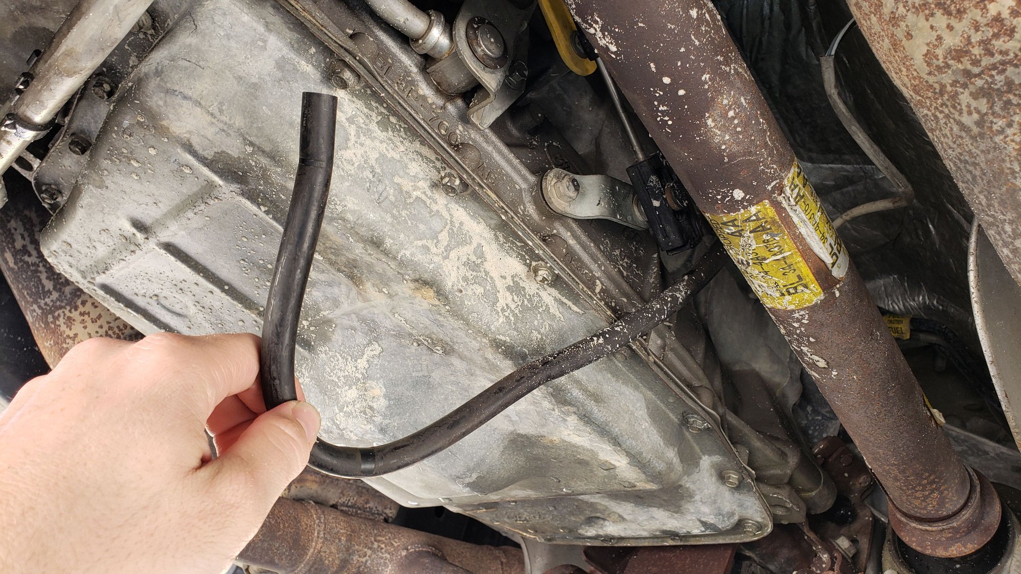 Random Hose Hanging down from Trans Ford F150 Forum Community of