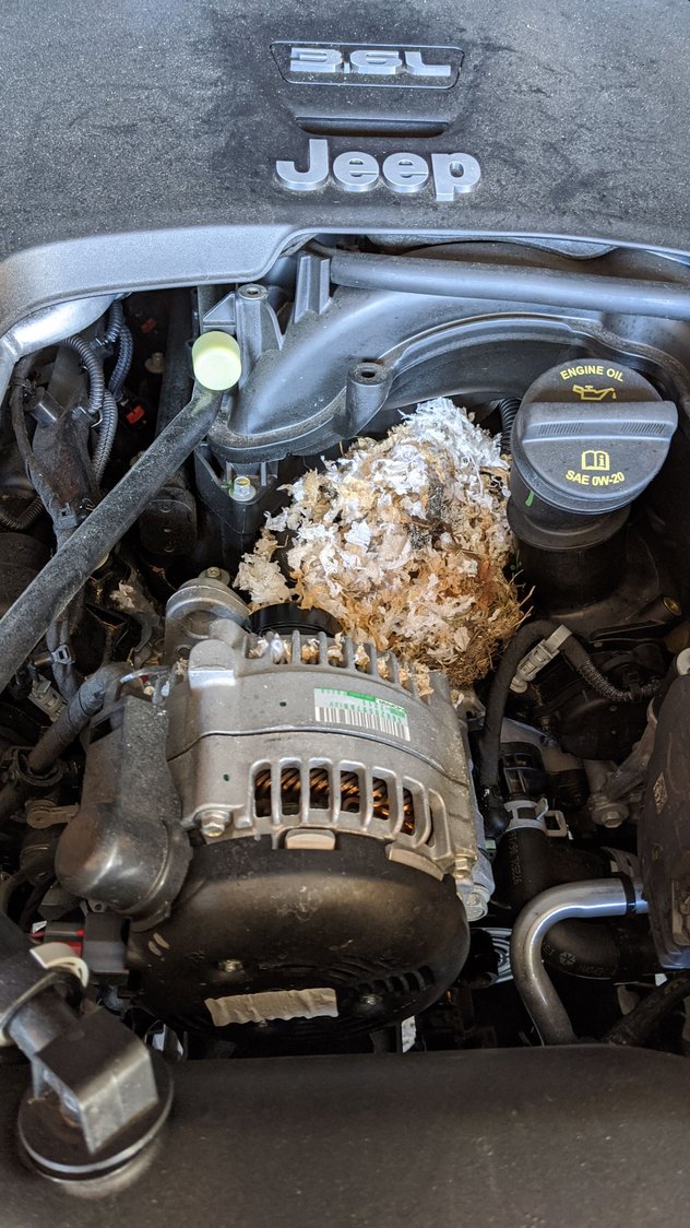 Squirrel chewed front wiring harness...wires repaired, no rear camera