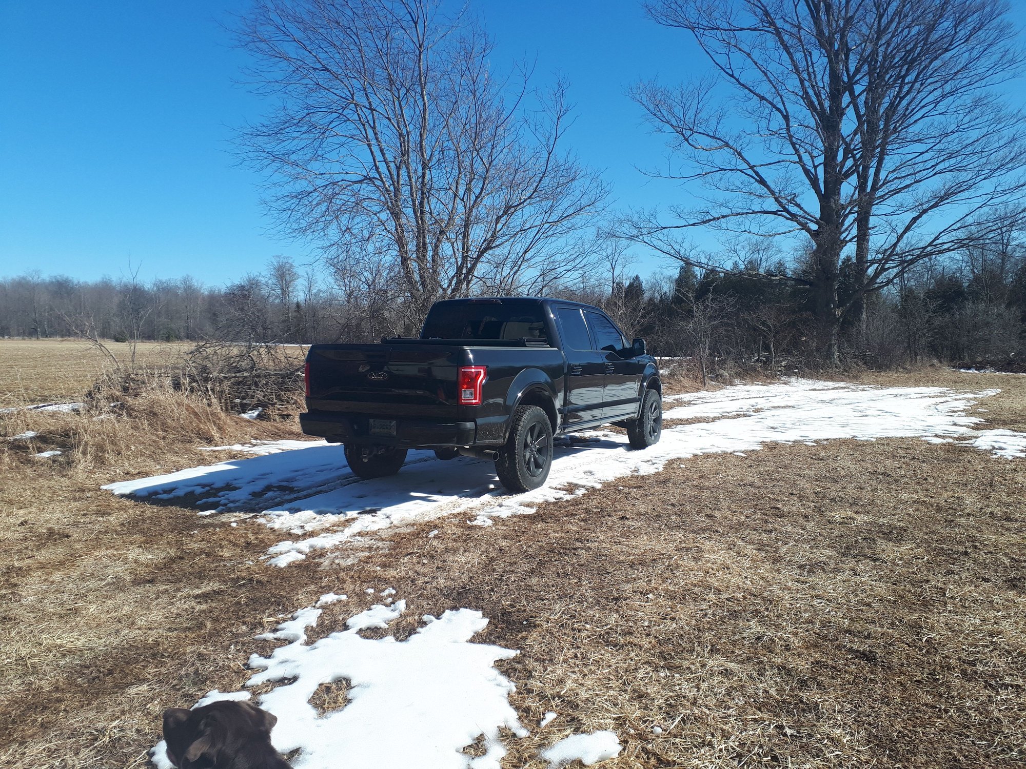 Tail Lights - Ford F150 Forum