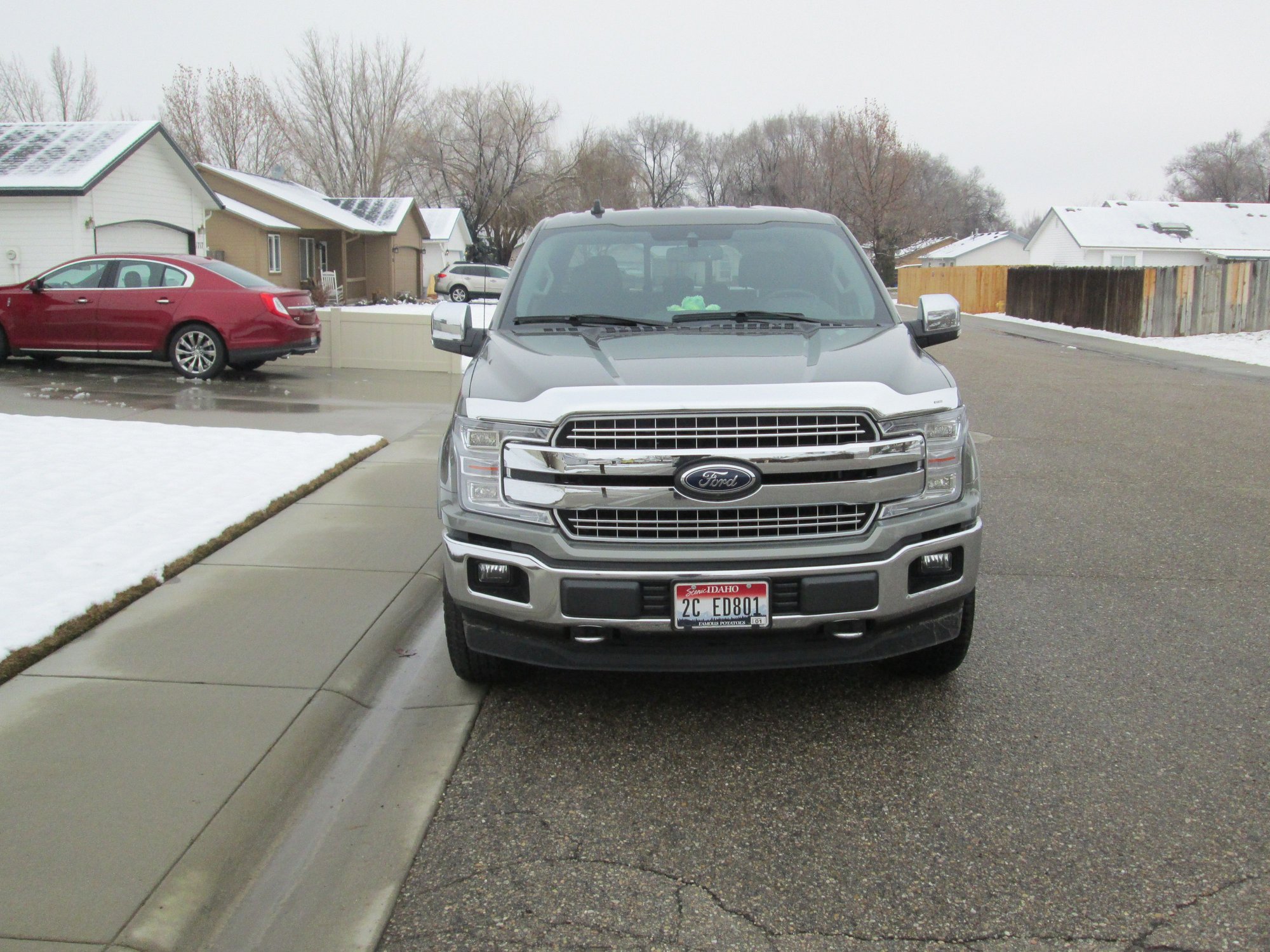 2021 ford f150 bug shield