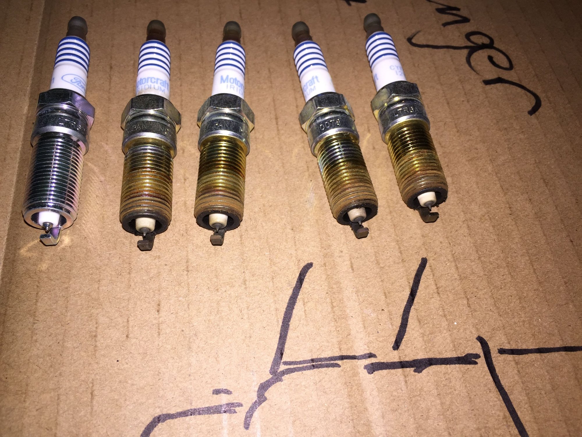 5.0 Engine Rattles when accelerating, pull all spark plugs, need help