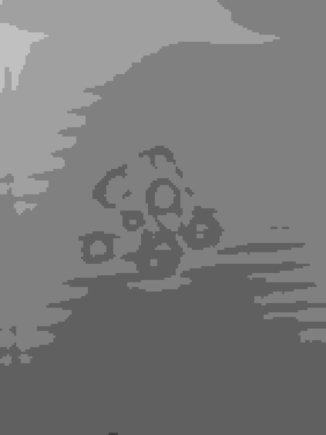 AC Compressor mounting bolt And belt squeal after bypass. Ford F150