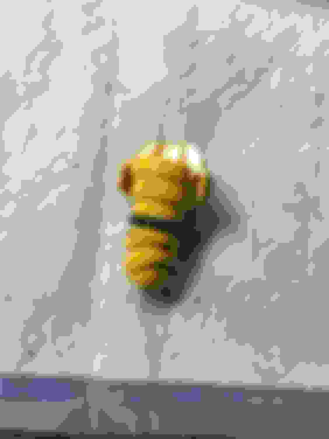 Oil Drain Plug2017 3.5 EcoboostHow Do You Remove it? Ford F150