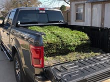 I will start. I picked up some sod today from and laid some nice new grass in my backyard. I gotta say the truck rides really nice with some weight in the bed!
