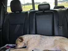 Sadie passed out in the backseat on the way to College Station for the weekend