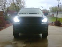 blackout headlights and saleen s331 grille