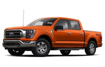 What color is the dark tan trim? - Ford F150 Forum - Community of Ford  Truck Fans