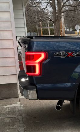 2017 F150 with 18-20 oem style LED 