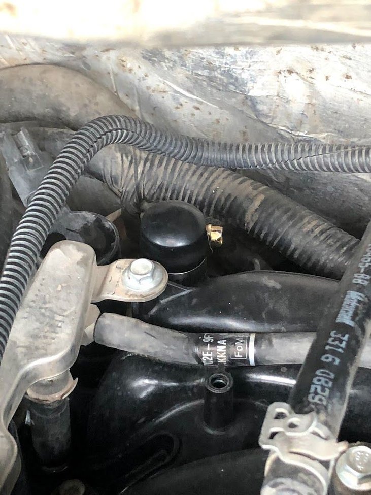 Q&A Coolant Leak into Intake Manifold Ford 4.6 & 5.4 Engine Problems