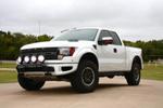 White Raptor