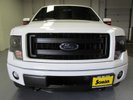 2013 FX4