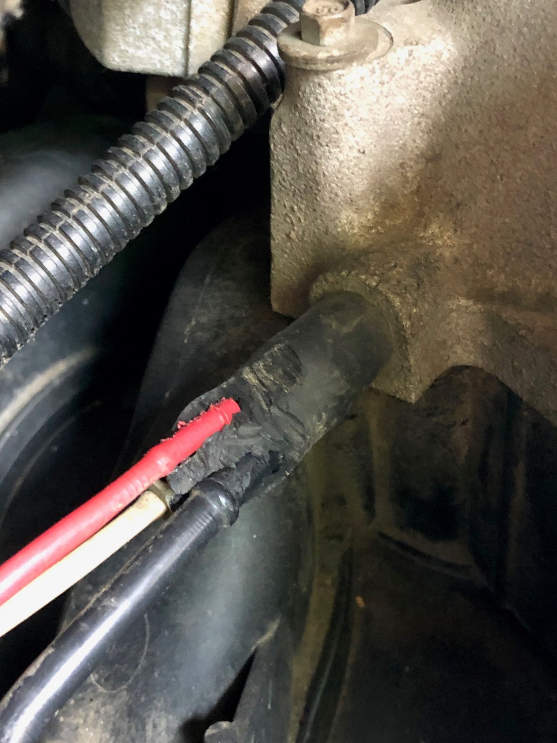 Throttle Body Vacuum hose assembly? Forums